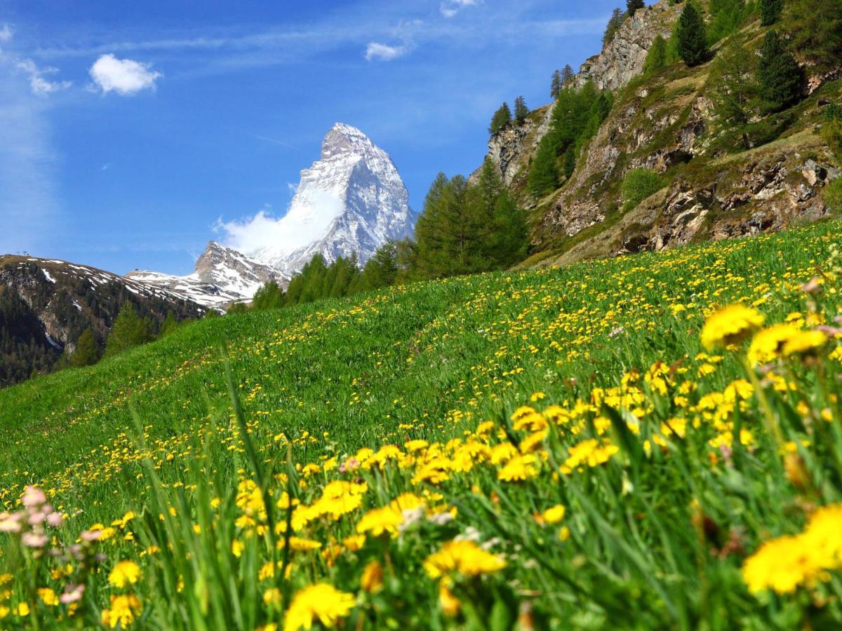 Apartment Roc By Interhome Zermatt Buitenkant foto