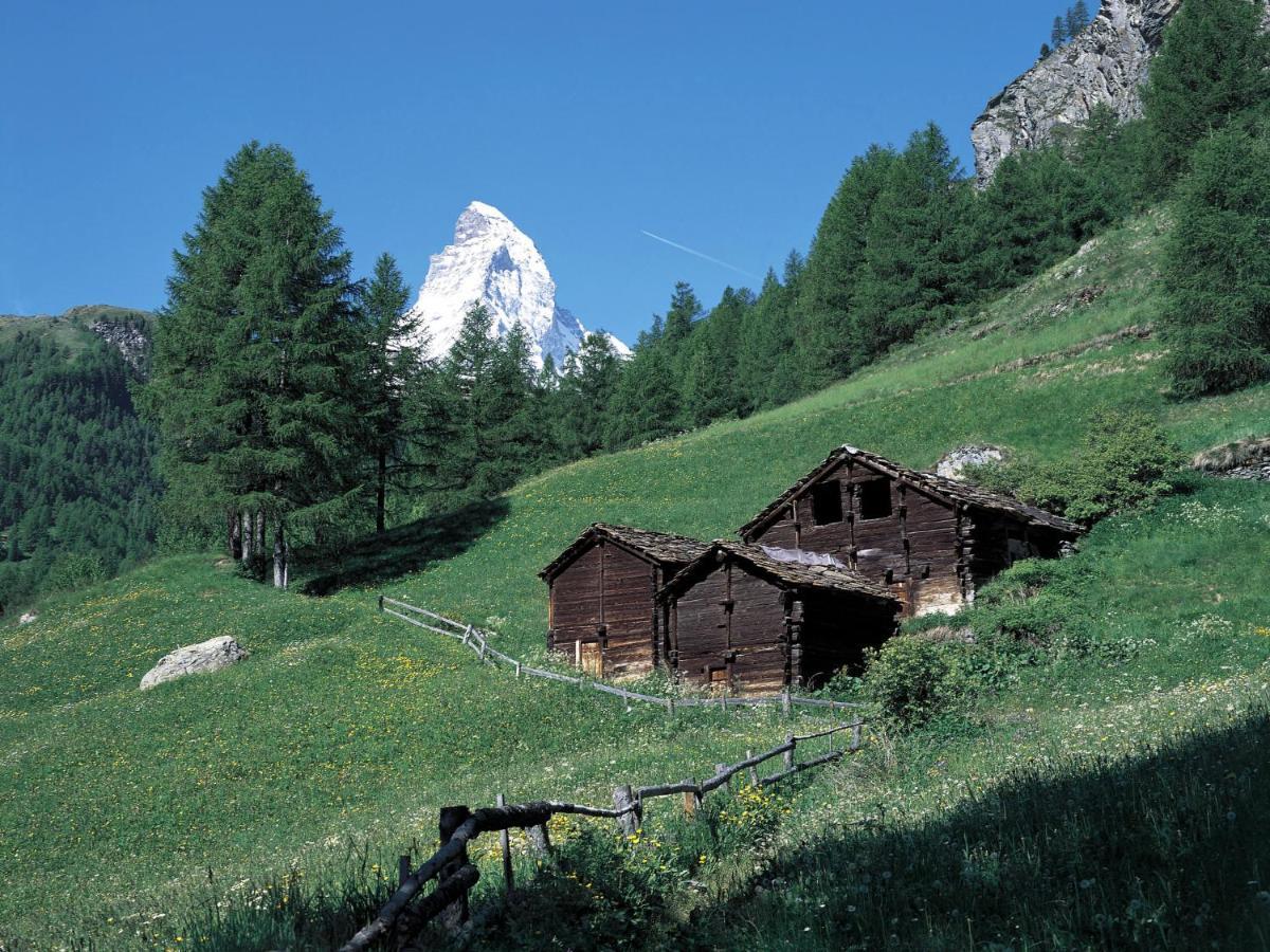 Apartment Roc By Interhome Zermatt Buitenkant foto